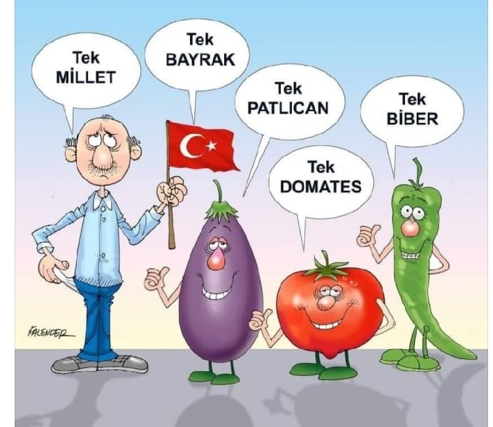 ayseelikkol1's tweet photo. @felyesufff #Tekben olunca tek patlican tek domates tek biber le iftara yemek yapsam yağ lazım tuz lazım et lazım https://t.co/znlP7is1jx