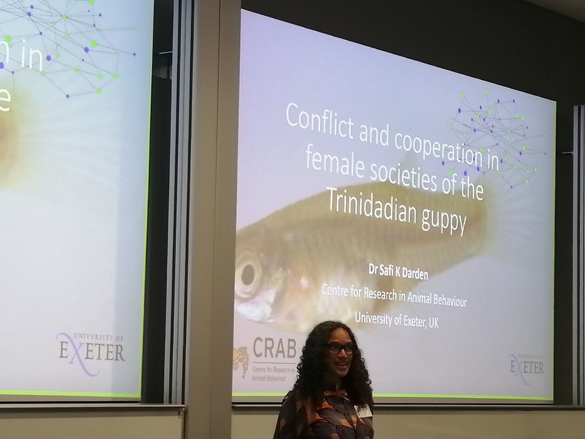 cbenvenuto73's tweet photo. First plenary @asab_conference and it is about 🐟🐟🐟! Conflict and cooperation in female societies of the Trinidadian guppy by the extraordinary @DardenSafi! @asab_tweets https://t.co/e85X0QSG8b