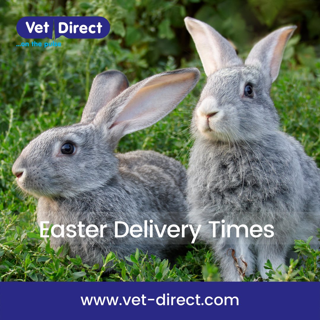vetdirectuk's tweet photo. Did some bunny say Easter?🐰
View our Easter Delivery Times here - https://t.co/7LTm90Ae7Q https://t.co/fczckmXUzW