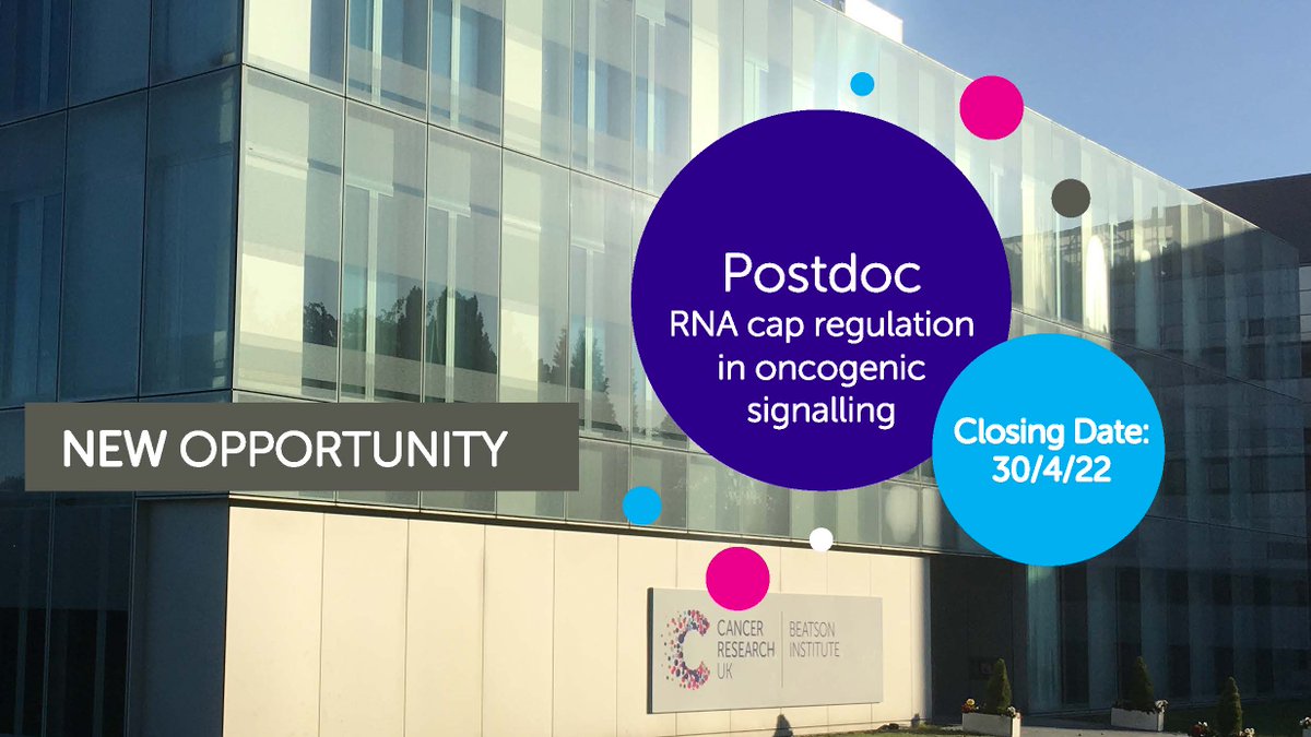 CRUK Scotland Inst (@cruk_si) on Twitter photo We are looking for a Postdoc to join <a href="/Vichaico/">Victoria Cowling</a> group and study how oncogenes influence RNA capping enzymes, and the impact that this has on cell function and fate decisions.
#postdocjobs #ResearchJobs #postdocposition
Read more: beatson.gla.ac.uk/Postdoctoral-F… We are looking for a Postdoc to join <a href="/Vichaico/">Victoria Cowling</a> group and study how oncogenes influence RNA capping enzymes, and the impact that this has on cell function and fate decisions.
#postdocjobs #ResearchJobs #postdocposition
Read more: beatson.gla.ac.uk/Postdoctoral-F…