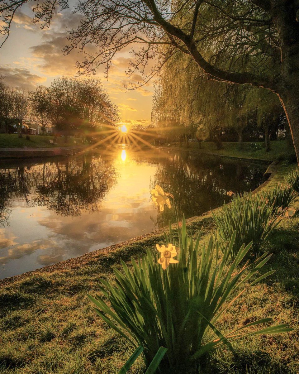 A stunning capture of the Kent sunshine by Kolyn Menace. Isn’t it breathtaking?! ☀️ 🌼 

#Kent #Sunrise #NaturePhotography <a href="/VisitKent/">Visit Kent</a>