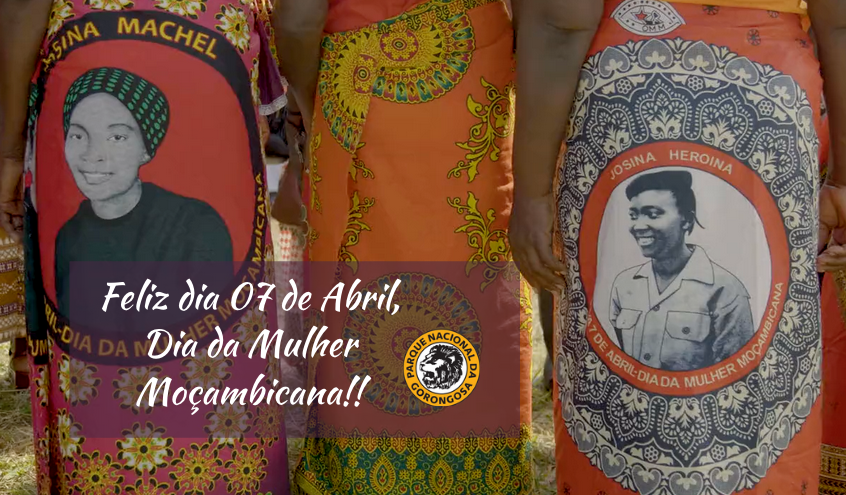 GorongosaPark's tweet photo. Feliz dia 07 de Abril, Dia da Mulher Moçambicana!!

Today we honor Josina Machel, who fought for human rights and Mozambican independence. She is a heroine in Mozambique, and after her death in 1971, April 7 was declared Mozambican Women’s Day. https://t.co/pDhslnKvHF