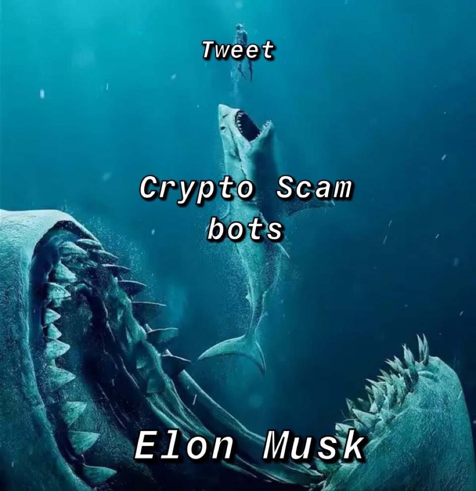 <a href="/elonmusk/">Elon Musk</a>