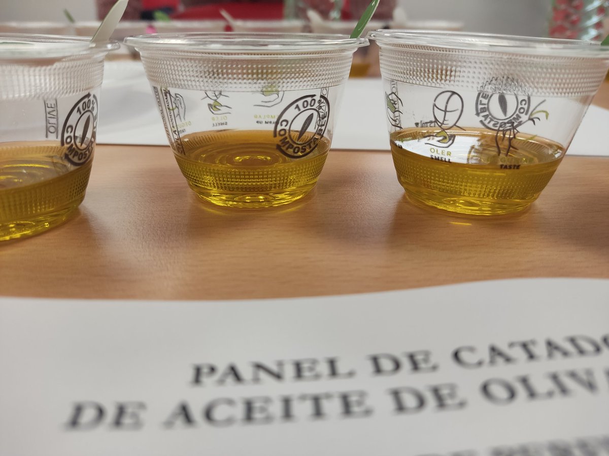 ADSierraSurJaen's tweet photo. ✍️📖 Seguimos aprendiendo sobre valoraciones sensoriales de AOVES en la Escuela Abierta de Catas de #Jaen.
Es un privilegio aprender sobre AOVES de la mano de los mejores expertos.
#AOVES #EscuelaDeCata #sostenibilidad #Cooperacion #adsur #EscuelaAbiertadeCatasdeJaén https://t.co/ghr55MU44H