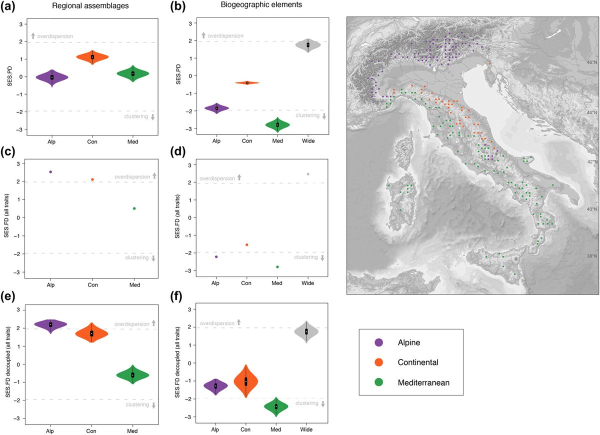 Ecography tweet media