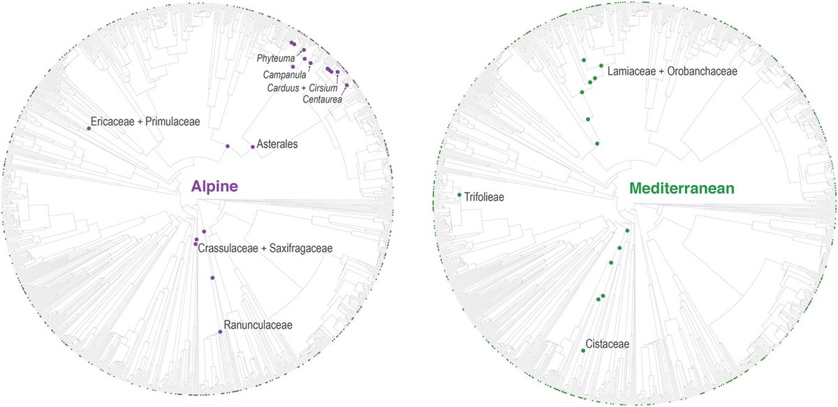 Ecography tweet media