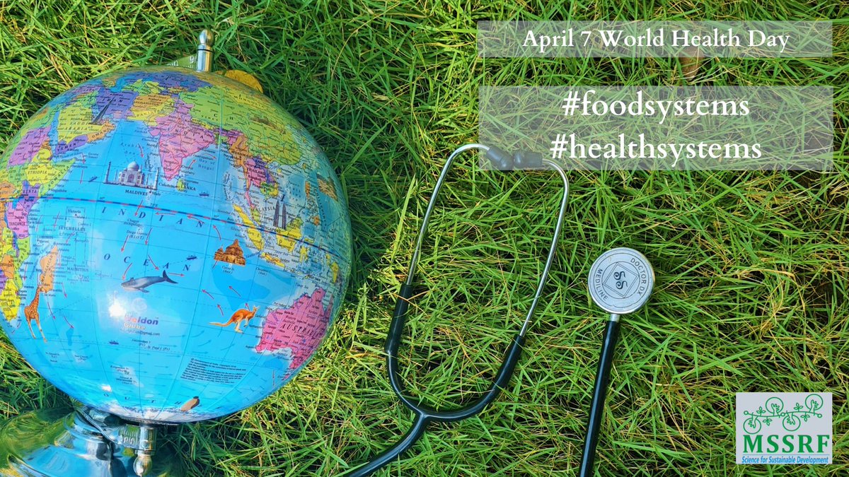 mssrf's tweet photo. #worldhealthday2022 #MSSRF connects #agriculture to #health Read https://t.co/Az3neuTlcB that shows #social groups, #family &amp; #landholding size influence #household #foodsecurity &amp; #health
#foodsystems #zerohungerchallenge #healthequity @jacinthnithya @MinistryWCD https://t.co/dG8HGMnOb7