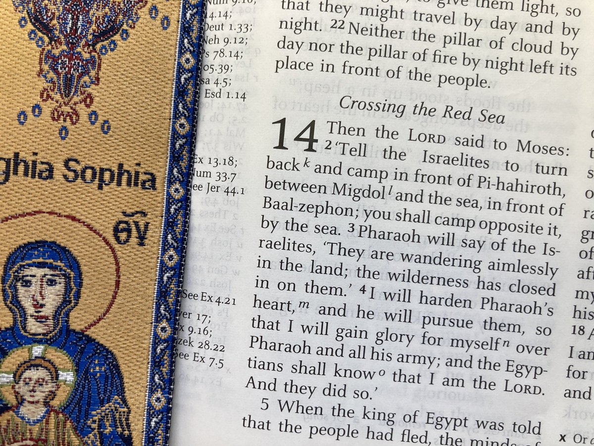 LSEChaplain's tweet photo. Started the day doing #scripturalreasoning with my Jewish colleague in preparation for Passover/Easter. Such a privilege to be part of an interfaith team ✝️✡️ https://t.co/GRf3B4YaPP