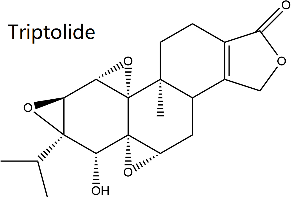 Landmark_IMR's tweet photo. Welcome to read! Prediction of the Potential Mechanism of Triptolide in Improving Diabetic Nephropathy by Utilizing A Network Pharmacology and Molecular Docking Approach, by Ming Yan
https://t.co/TAWZKh2DnL
#diabetes #Triptolide #diabetic_nephropathy #antiinflammatory https://t.co/Co0KmrEk0I