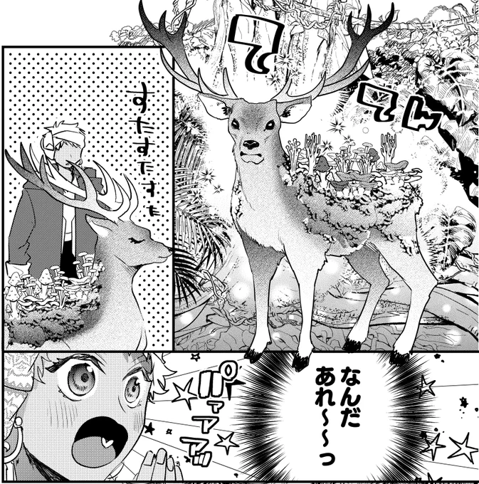 不思議な生き物とカリム君 