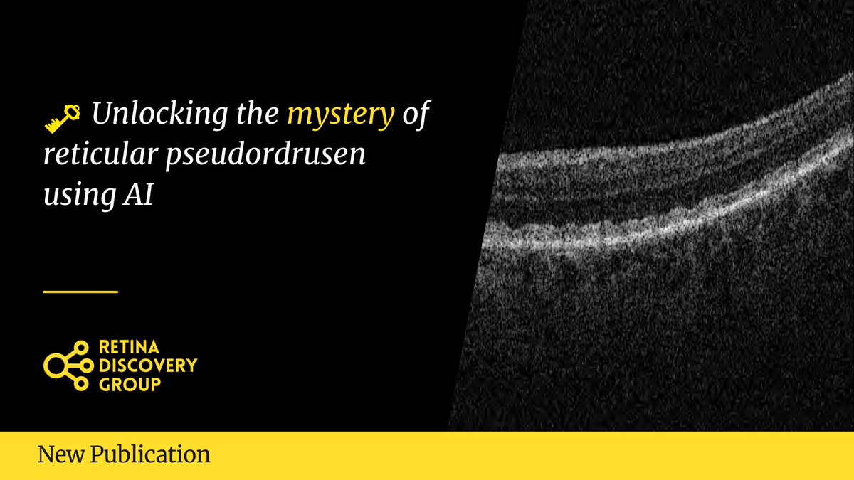 Retina Discovery Group tweet media