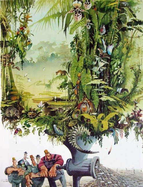 Indigenous for United Nations IUN🇺🇳 tweet media