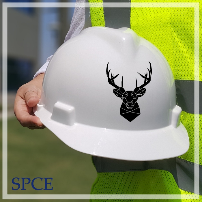 SPCELTD's tweet photo. https://t.co/L53VdJxzhm
#PropertyManagement #PropertyRenovation #PropertyLetting #PropertySelling ......... #PropertyExperts #EdinburghNewTown #ScottishBorders https://t.co/N1PBFlqZTV