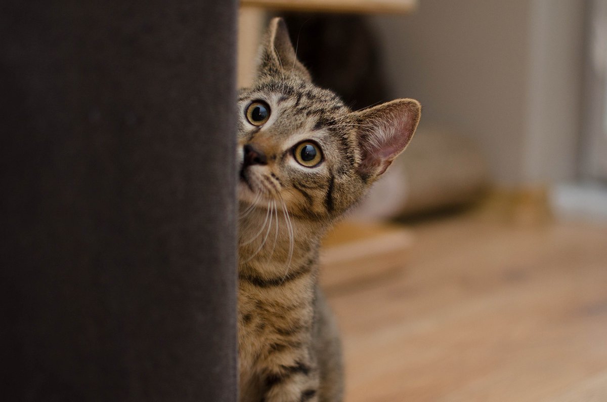 5 x Free NFT giveaway of Potty Mouth NFT's

🎁🎁🎁🎁🎁

Rules
Follow + like + Retweet 

Why not join us on discord!
Discord: discord.gg/G5u7yxktXu

#NFTGiveaways #NFTGiveaway #NFTProject #NFTpromotion