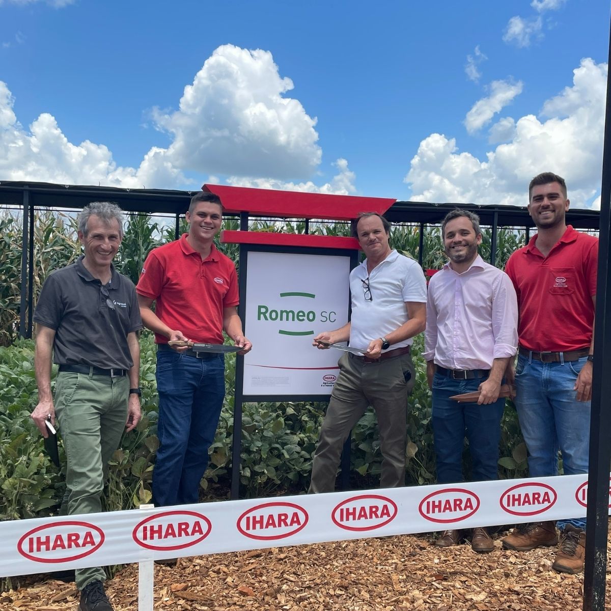 Agrauxine tweet media