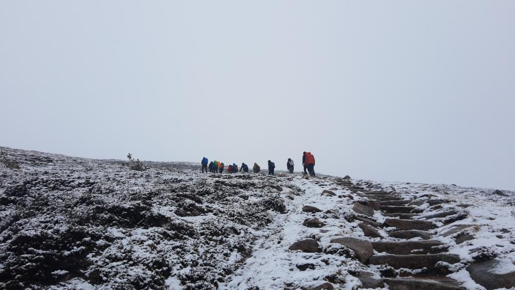 ConBiodivMSc's tweet photo. What an adventure the @ConBiodivMSc #ExeterRewilding group has been having in Scotland over the past two weeks. 

Hen harriers, otters, and eagles — oh my! Of course it would not be a trip to Scotland without a little snow 😉 https://t.co/iNNsv8ZDGg