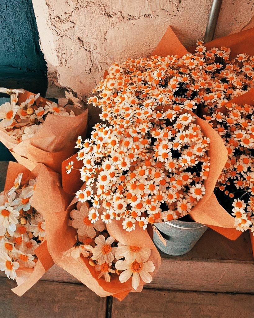 aurora (@muhteremvesahsi) on Twitter photo 