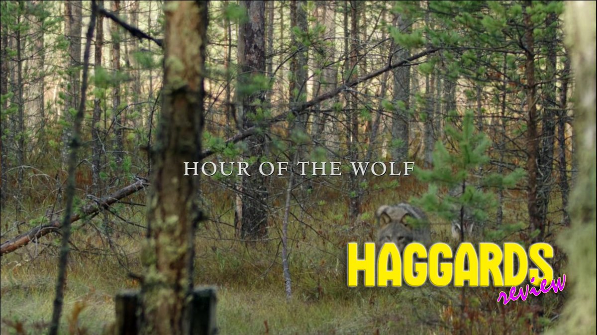 KCarringtonFox's tweet photo. #Review #Haggards #Outlander S06E04. De cuando Murraicito intenta igualar en sufrisiones a su tío Jamie
https://t.co/wp2gAh18zA https://t.co/ttP6B0ae7E