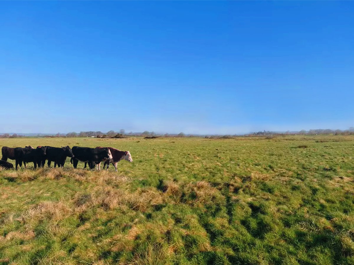 This is a monoculture desert devoid of biodiversity & a place used to exploit sentient beings for milk & body parts. I see a place where wildlife has suffered too, squeezed out towards extinction.