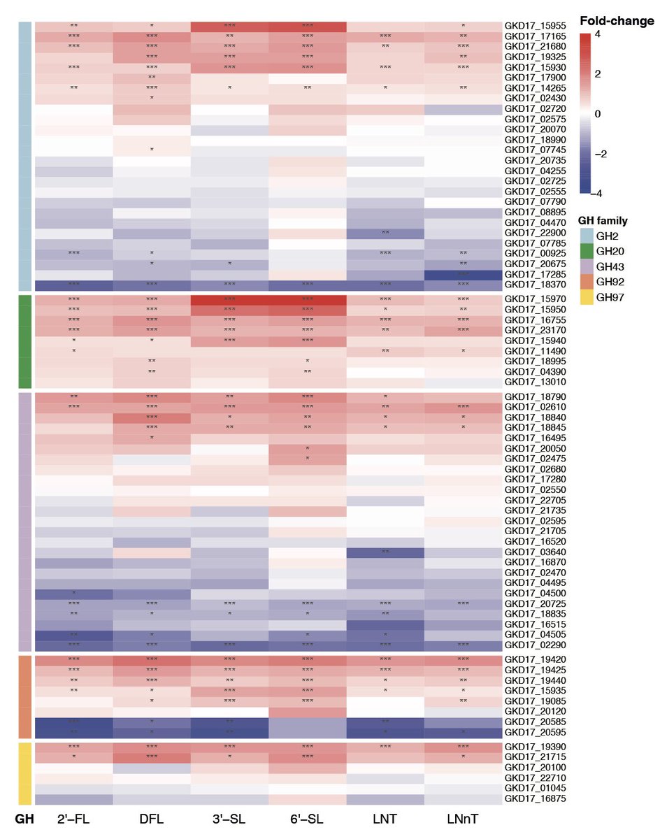 Sivan Kijner tweet media