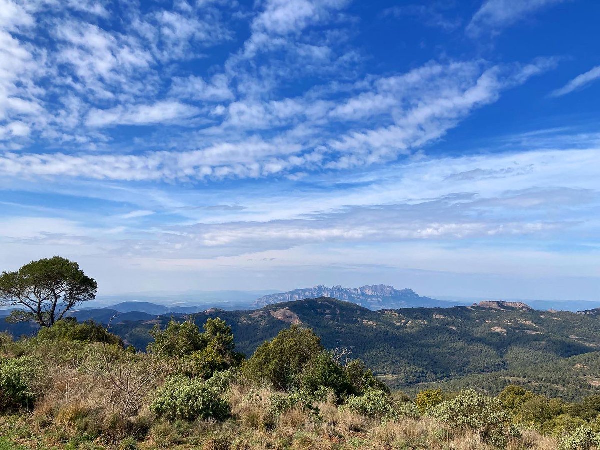 El mateix mati ❤️ La mola i Montserrat #fotografia @xarxadeparcs #parcsantllorenç