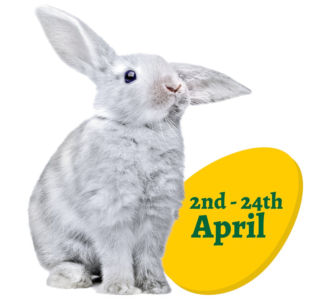 Easter activities and events for the whole family are what you'll find in the linked article. Did you know that @BirdworldSurrey is holding an Easter EGG-stravaganza this year complete with Easter Egg Hunt Trail? communityad.co.uk/easter-activit… #Hampshire #Easter2022 #LocalEvents