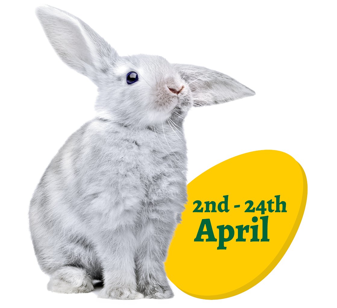 Easter activities and events for the whole family are what you'll find in the linked article. 

Did you know that <a href="/BirdworldSurrey/">Birdworld</a> is holding an Easter EGG-stravaganza this year complete with Easter Egg Hunt Trail?

communityad.co.uk/easter-activit…

#Hampshire #Easter2022 #LocalEvents