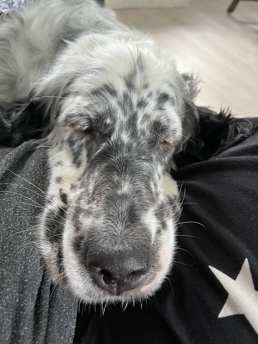 This face though ♥️