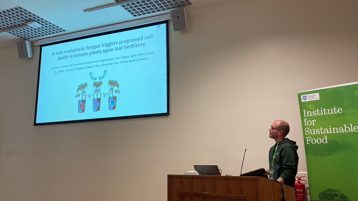 IobcIr's tweet photo. First abstract speaker of the session is Francisco Javier Colina Ruiz from @irnasa_csic delivers his presentation on A root mutualistic fungus triggers programed cell death in tomato plants upon leaf herbivory #IOBCSHEFF https://t.co/5AMXo9zX0N