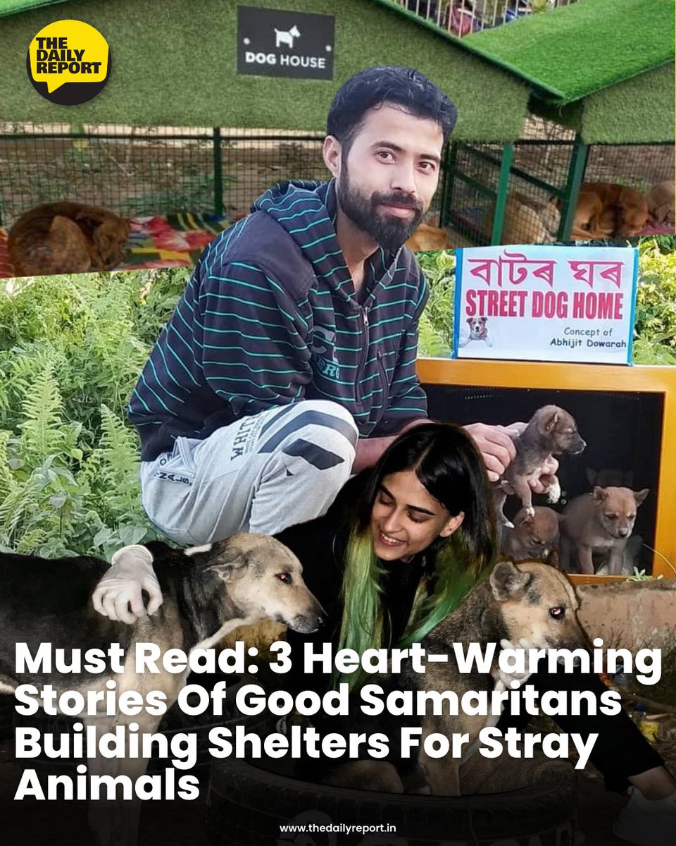 The_DailyReport's tweet photo. Every other day, we see terrible news about animal cruelty happening around the country. We’ve seen it all, from mass killings of stray dogs to assaults on pet owners. And it breaks our hearts. 

Article Link: https://t.co/WB7GS3VDx8 https://t.co/yRpQd6csyp