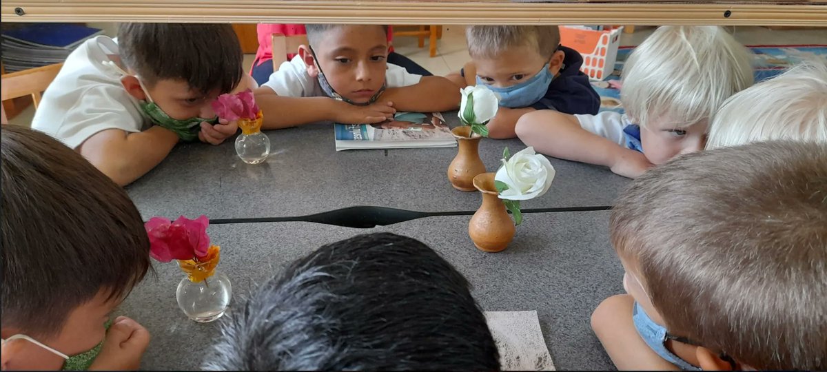 kim_donker's tweet photo. Utilizing the strategies we are teaching them, these boys took a few moments for peaceful reflection...literally! 
#kindergartenfriends #isaruba #issedu #peacecorner #EarlyChildhood https://t.co/3BLlTJnEoV