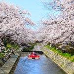 ツイートに含まれる画像