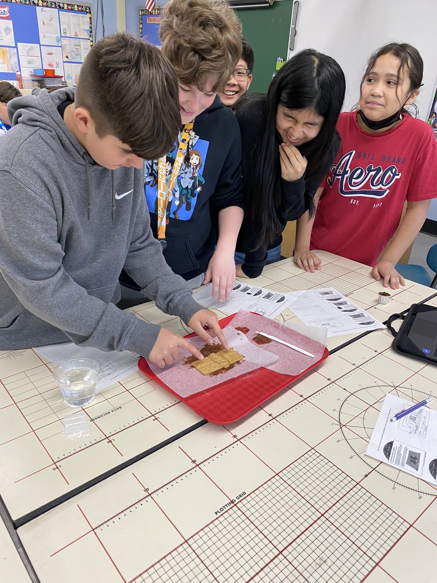 Maria Santodonato tweet media