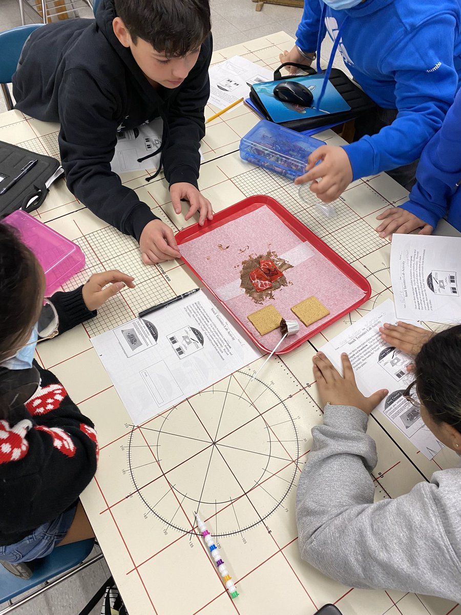 Maria Santodonato tweet media