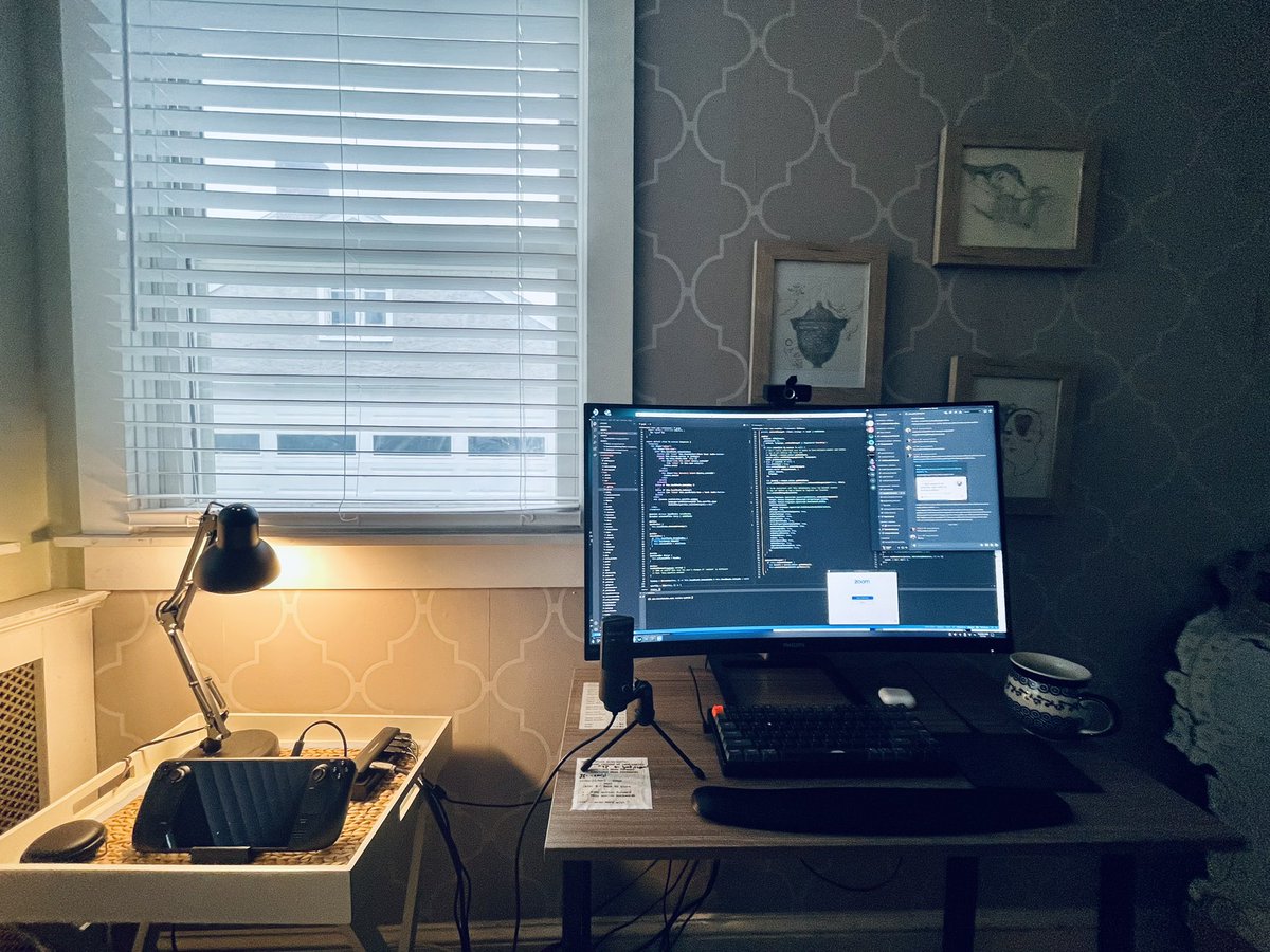 Using my #SteamDeck as my main work computer for the past few weeks have been really fun! 

The mullet of computers: business up front, party in the back