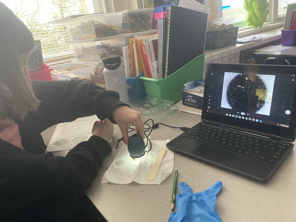 Paul Garrity tweet media