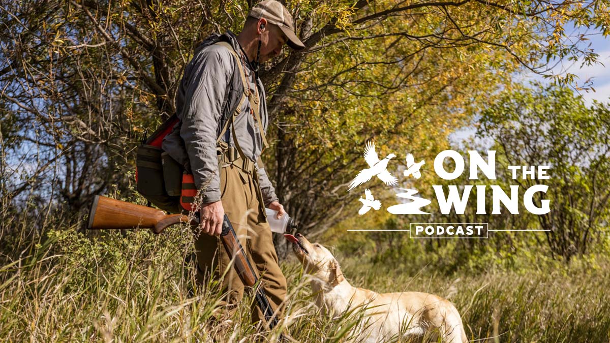 New ON THE WING PODCAST featuring @MeatEaterTV very own @olCal406 on Labrador retrievers, Montana, bird hunting, rattlesnakes, and the Grasslands Act bit.ly/3uhWSF1 #ActForGrasslands #QuailForever