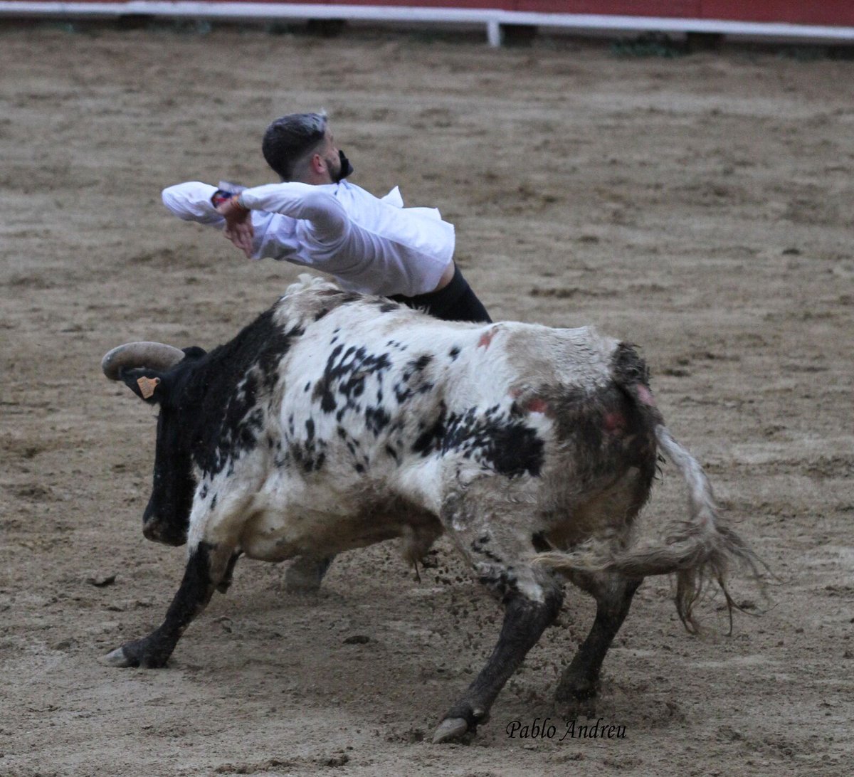 Pues en unas senanitas repetimos concurso 🤷‍♂️