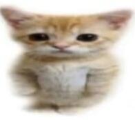 kacanglol's tweet photo. what the fuck https://t.co/g3nFl3dvol