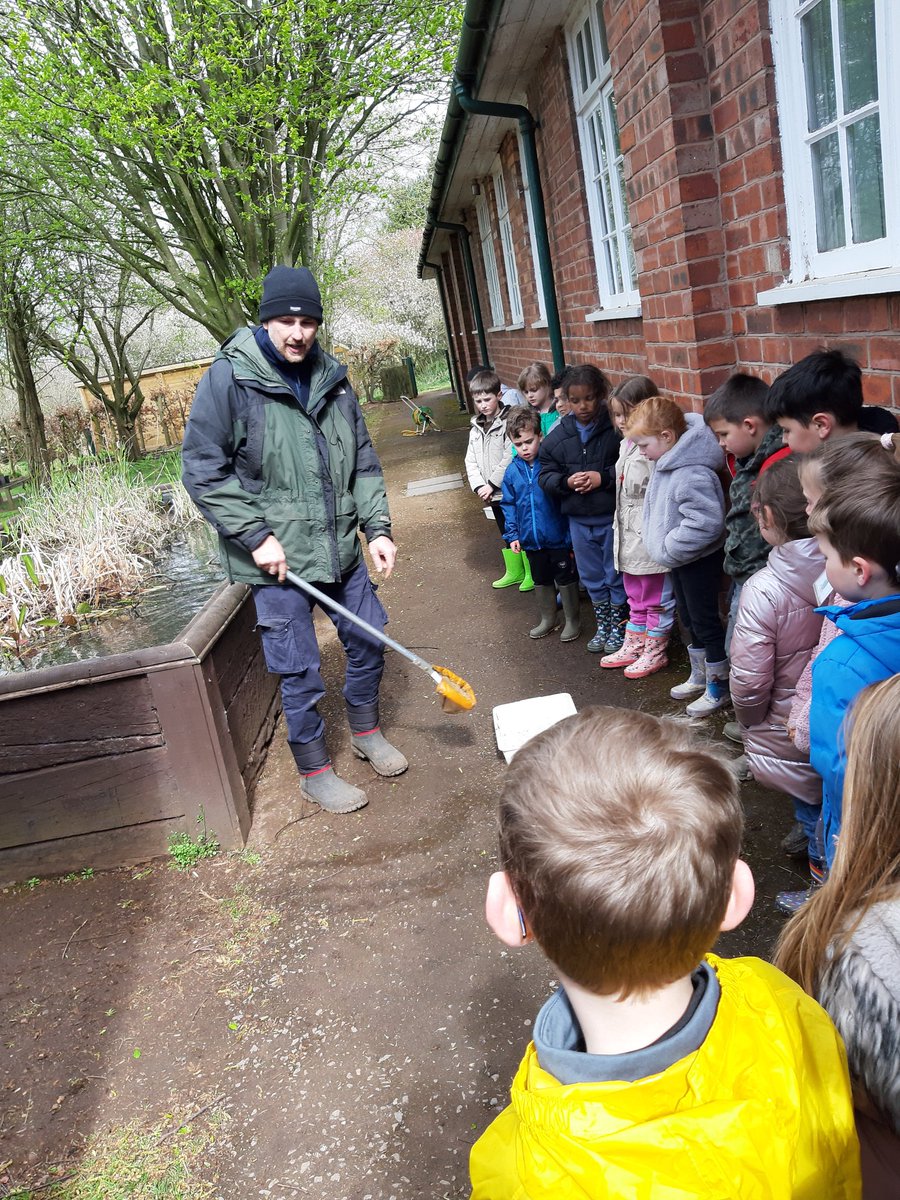 Stmattsprimary's tweet photo. Pond dipping for Year 2 https://t.co/uqFxJmruSj