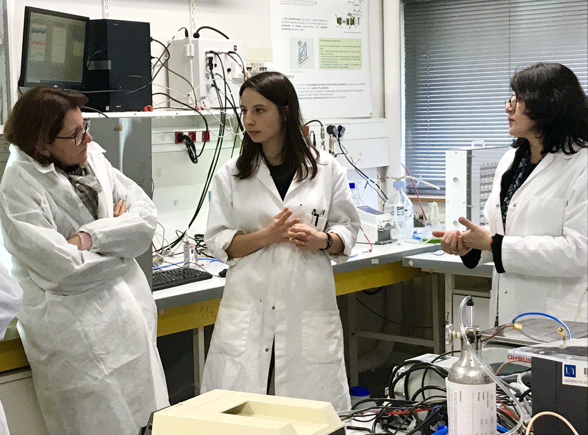 GEPEA (@labogepea) on Twitter photo Kick-off meeting Projet HEALTH-PHASE
<a href="/LaboGEPEA/">GEPEA</a> Budget 1.84M€ (aide Région 1.2M€)
#Microalgues & Santé humaine
#Bioproduction Purification d'actifs
<a href="/JerePRUVOST/">Pruvost Jeremy</a> Dir GEPEA
#MagaliBricaud Dir ESR <a href="/paysdelaloire/">Pays de la Loire</a>
<a href="/fjakemin/">Frédéric Jacquemin</a> VP <a href="/NantesUniv/">Nantes Université</a>
#AlgoSolis #AGS #Brochier #AlgoSource #GMP Kick-off meeting Projet HEALTH-PHASE
<a href="/LaboGEPEA/">GEPEA</a> Budget 1.84M€ (aide Région 1.2M€)
#Microalgues & Santé humaine
#Bioproduction Purification d'actifs
<a href="/JerePRUVOST/">Pruvost Jeremy</a> Dir GEPEA
#MagaliBricaud Dir ESR <a href="/paysdelaloire/">Pays de la Loire</a>
<a href="/fjakemin/">Frédéric Jacquemin</a> VP <a href="/NantesUniv/">Nantes Université</a>
#AlgoSolis #AGS #Brochier #AlgoSource #GMP