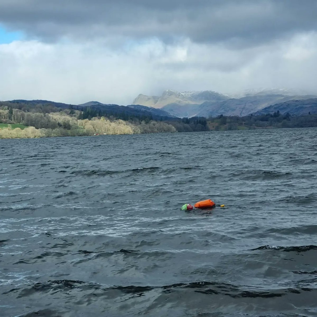 allensl81's tweet photo. The most beautiful swim this morning! π πββοΈ #openwater #swimwildandfree #ThisGirlSwims #TheStoics #thelakedistrict #Sub10Club https://t.co/QhSKEp7DM3