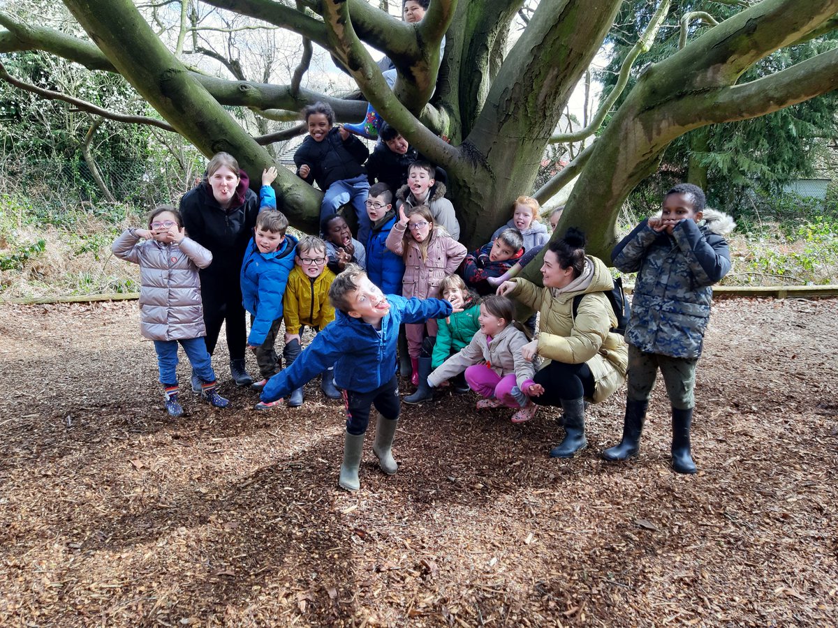Stmattsprimary's tweet photo. Let's climb a tree Year 2 https://t.co/np3DNcn3VW