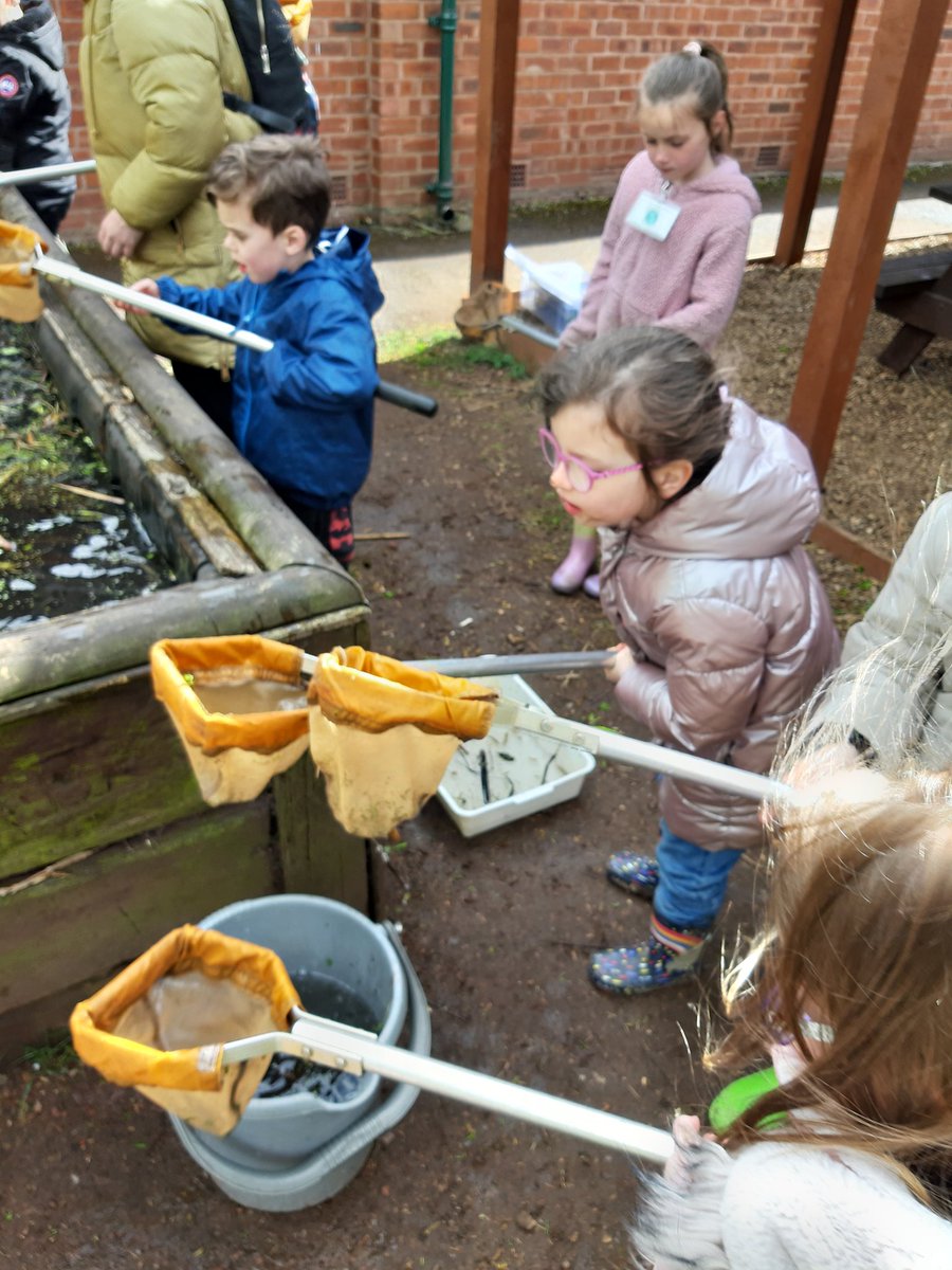 Stmattsprimary's tweet photo. Pond dipping for Year 2 https://t.co/uqFxJmruSj