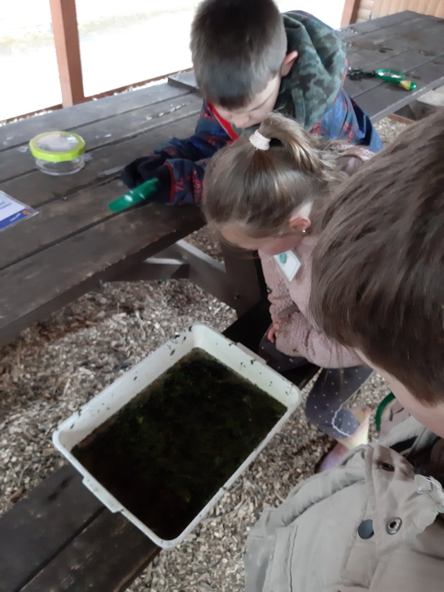 Stmattsprimary's tweet photo. Pond dipping for Year 2 https://t.co/uqFxJmruSj