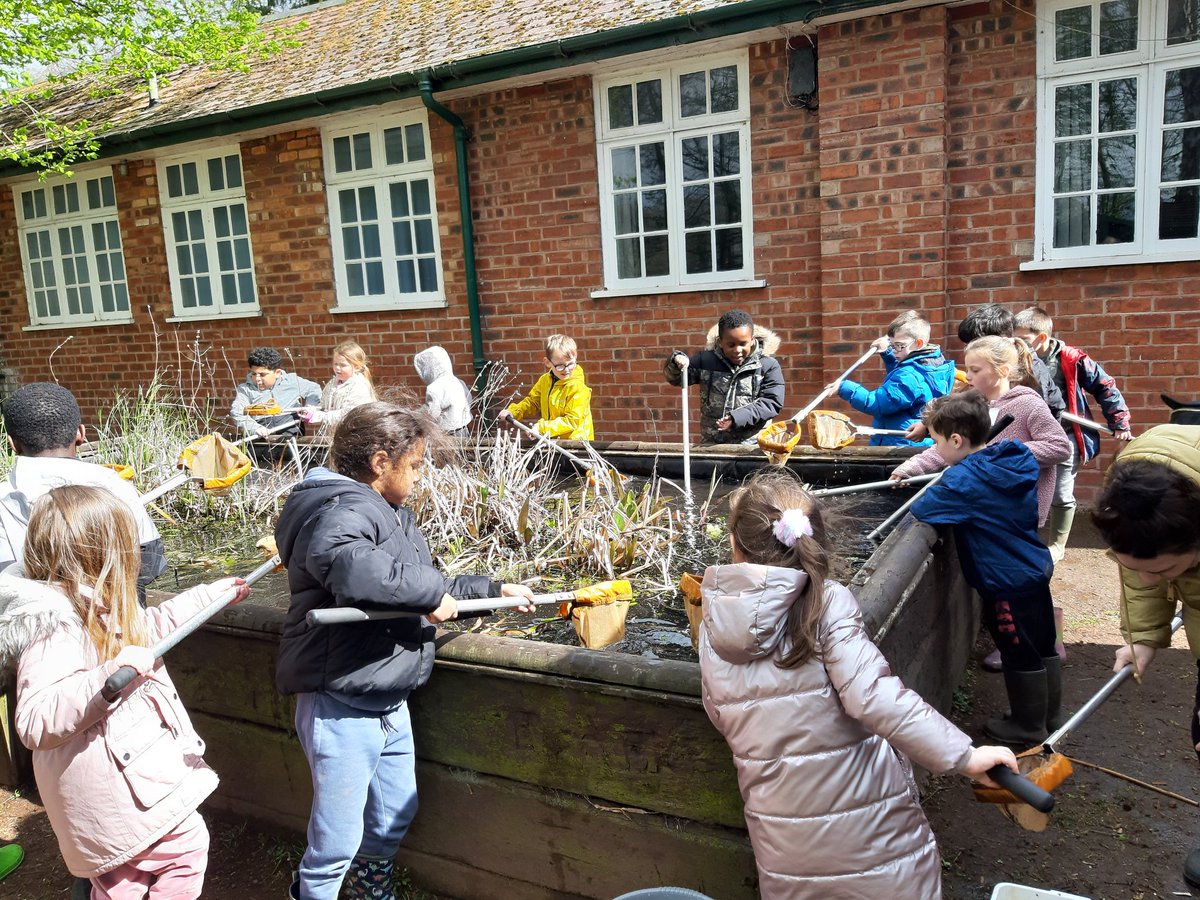 Stmattsprimary's tweet photo. Pond dipping for Year 2 https://t.co/uqFxJmruSj