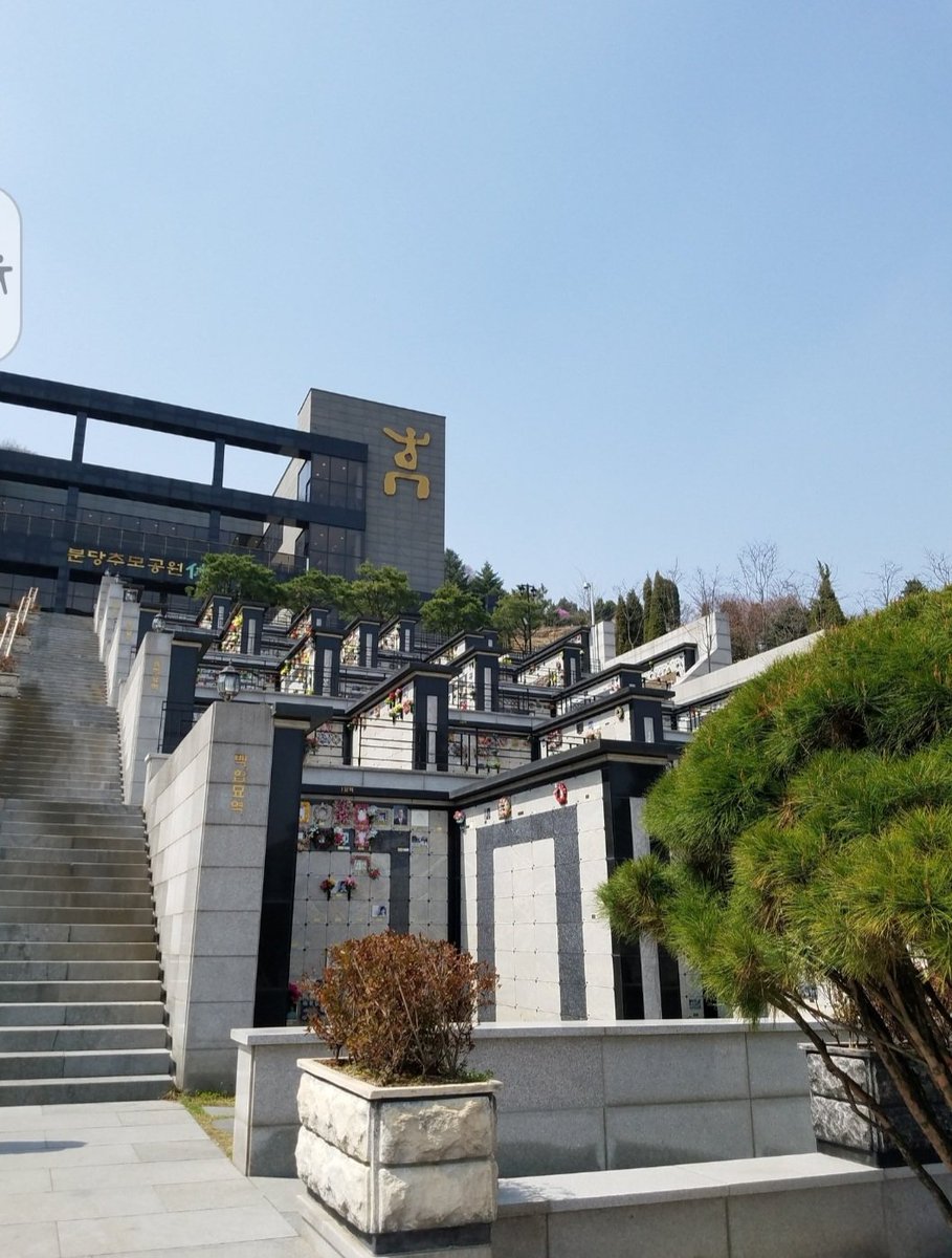 이제 봄이 오나 봅니다
봄 소식을 제일 먼저 전하고 싶은 울 엄마!
봄이 오자마자 훌쩍 떠나신지 벌써 10년이 지났지만~
전해도 대답은 없겠지만  봄이 오니 꼭 전하고 싶네요.....