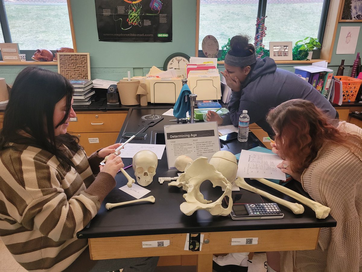OakSciMatters's tweet photo. Forensic Anthropology... "reading the bones" https://t.co/1W11lIt90S