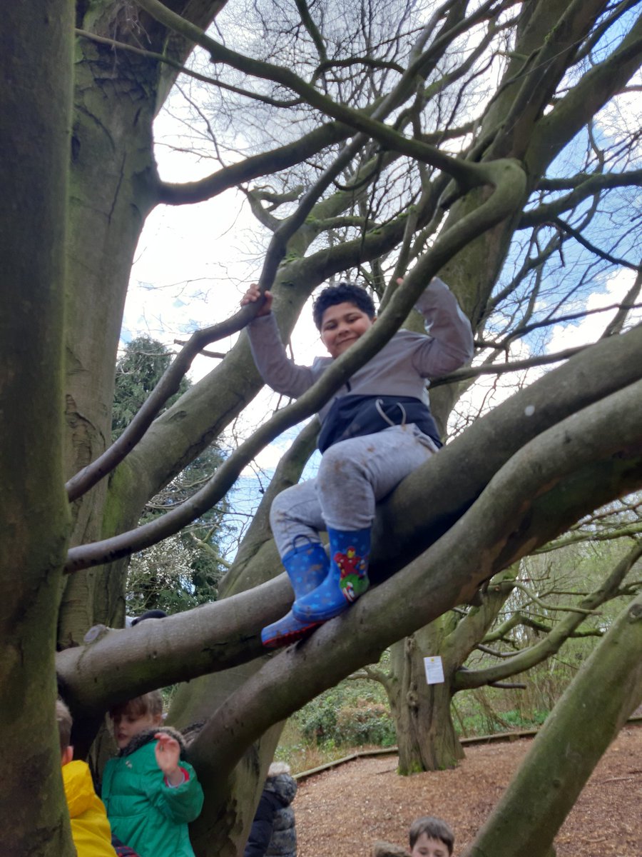 Stmattsprimary's tweet photo. https://t.co/9WwW71LVSD