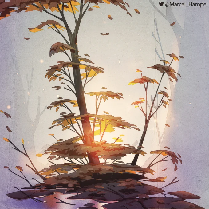 foliage studies 
